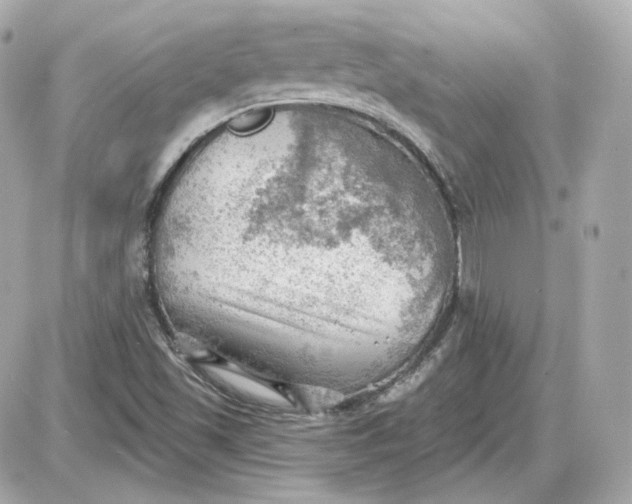 X0000087551501200705112108