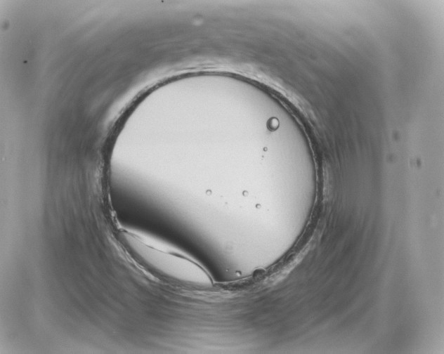 X0000087551502200705112108