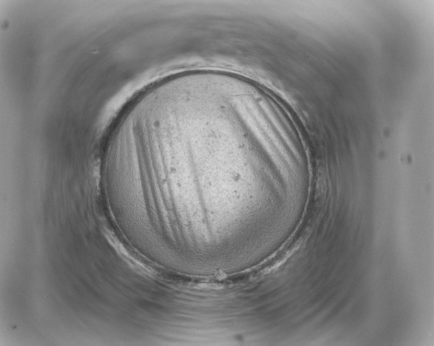 X0000087551503200705112108