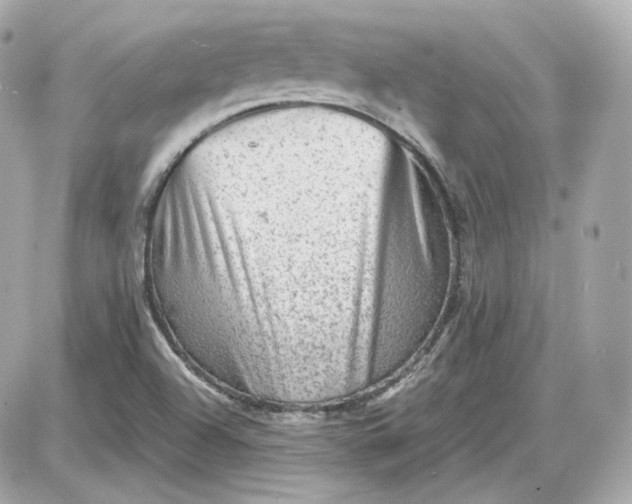 X0000087551504200705112108