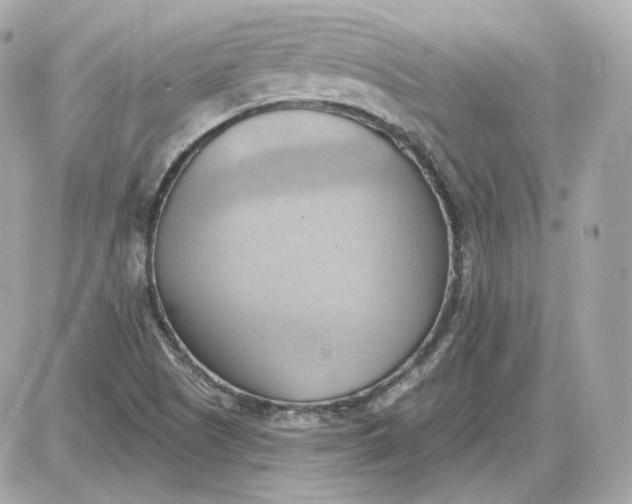 X0000087551505200705112108