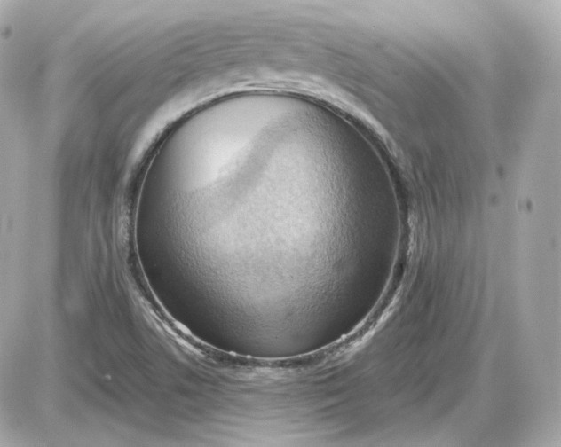 X0000087551506200705112108