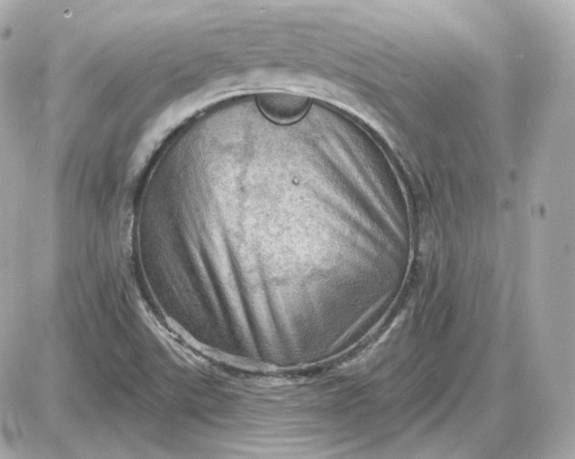 X0000087551507200705112108