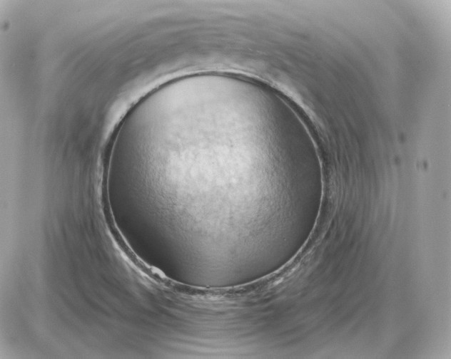 X0000087551508200705112108