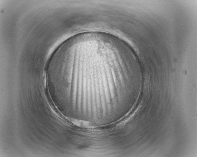 X0000087551509200705112108