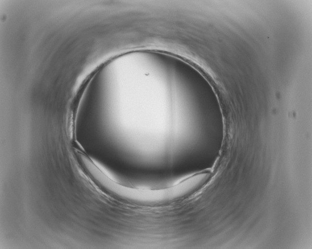 X0000087551510200705112108