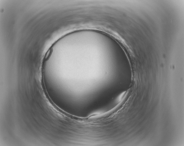 X0000087551512200705112108