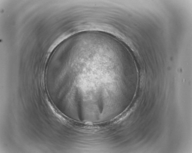 X0000087551513200705112108