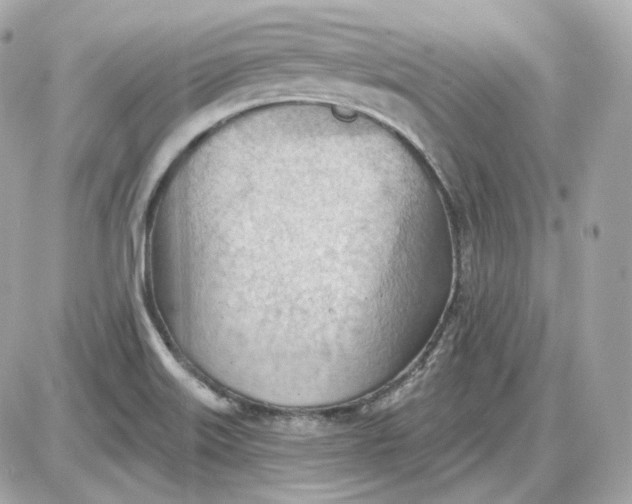 X0000087551515200705112108