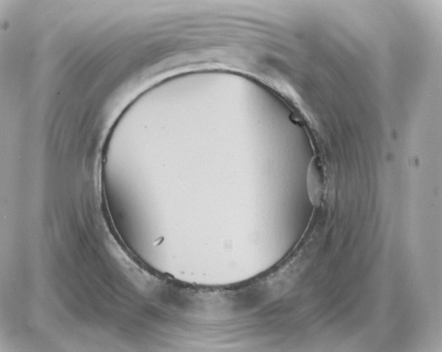 X0000087551516200705112108