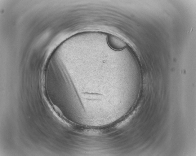 X0000087551517200705112108