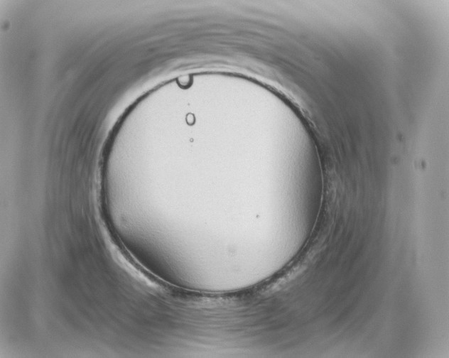 X0000087551518200705112108