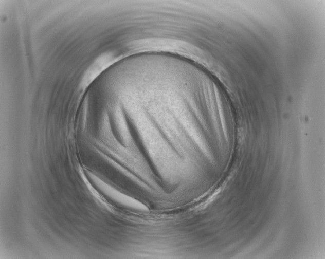 X0000087551521200705112108