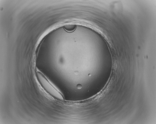 X0000087551522200705112108