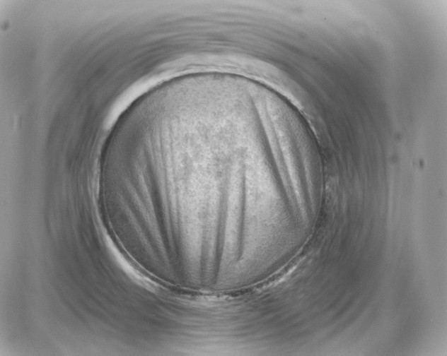 X0000087551523200705112108