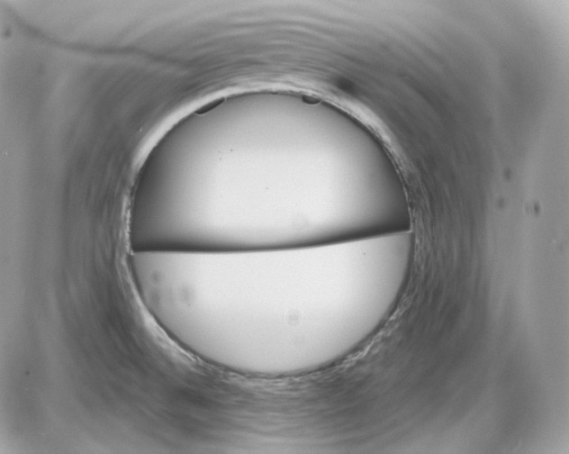 X0000087551524200705112108