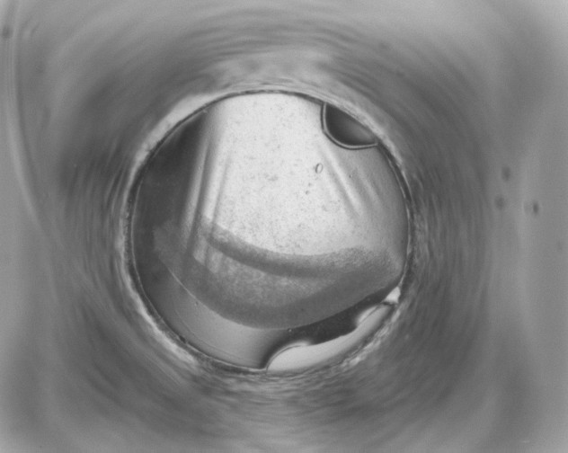 X0000087551525200705112108