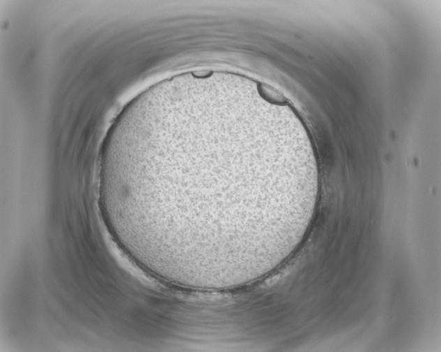 X0000087551526200705112109