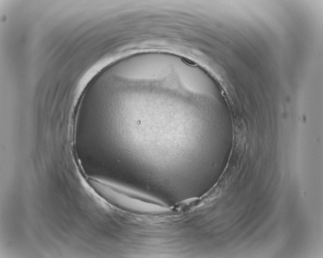 X0000087551527200705112109