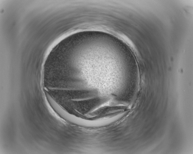 X0000087551528200705112109