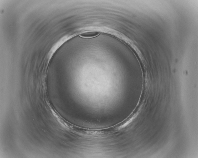 X0000087551529200705112109