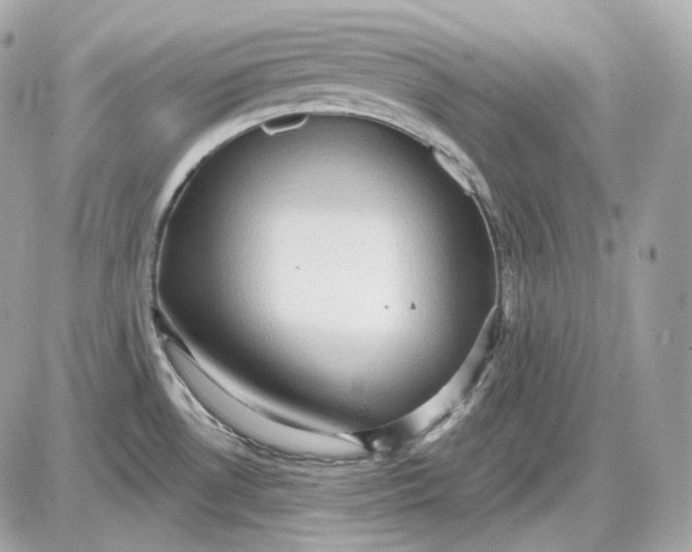 X0000087551530200705112109