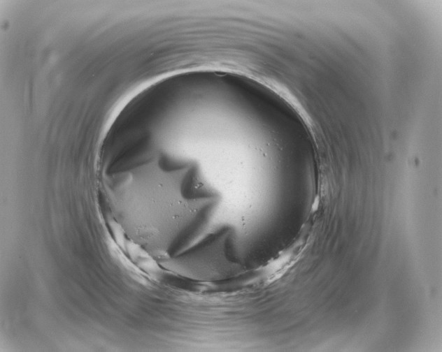 X0000087551532200705112109