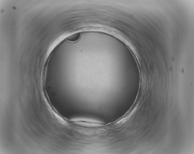 X0000087551533200705112109