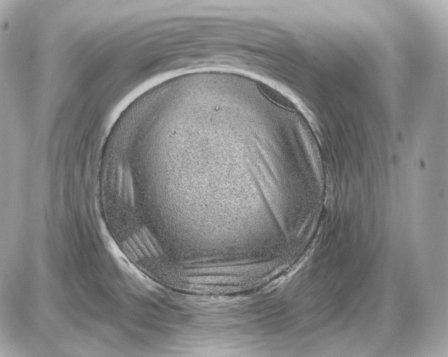 X0000087551534200705112109