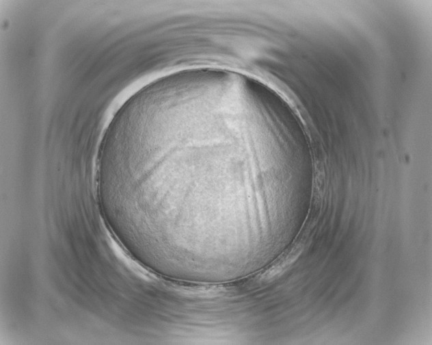 X0000087551535200705112109