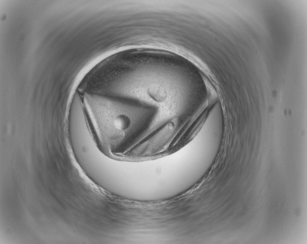 X0000087551536200705112109