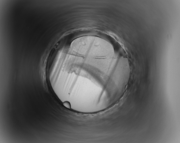 X0000087550002200705181115