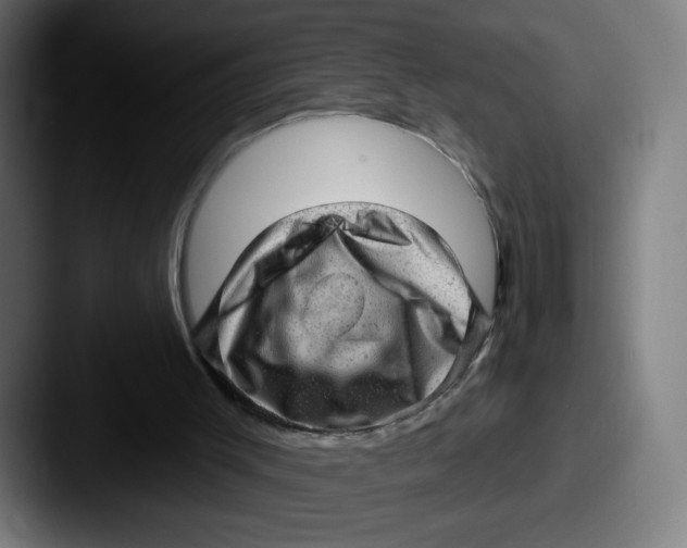 X0000087550003200705181115