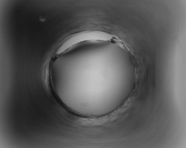 X0000087550005200705181115