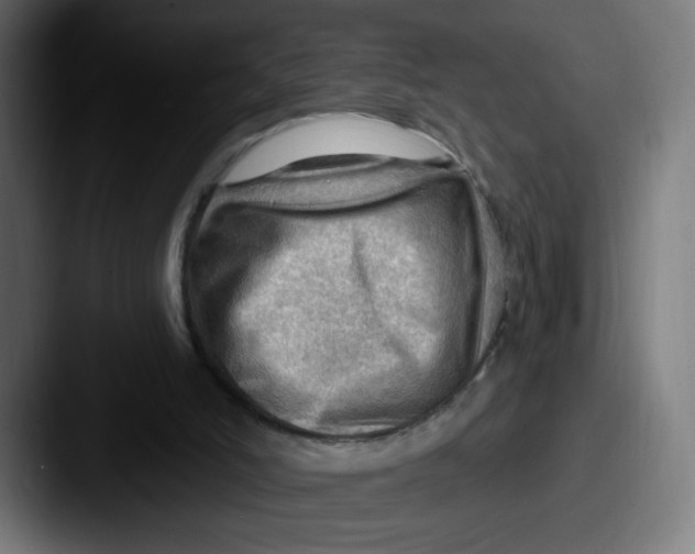 X0000087550006200705181115