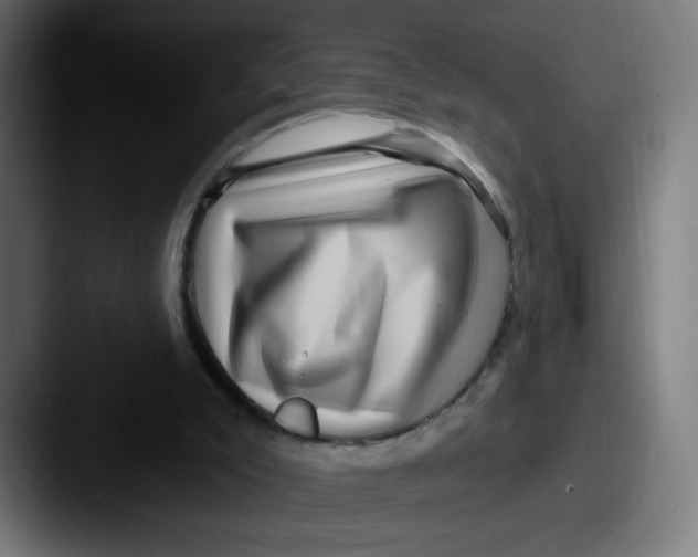 X0000087550007200705181115