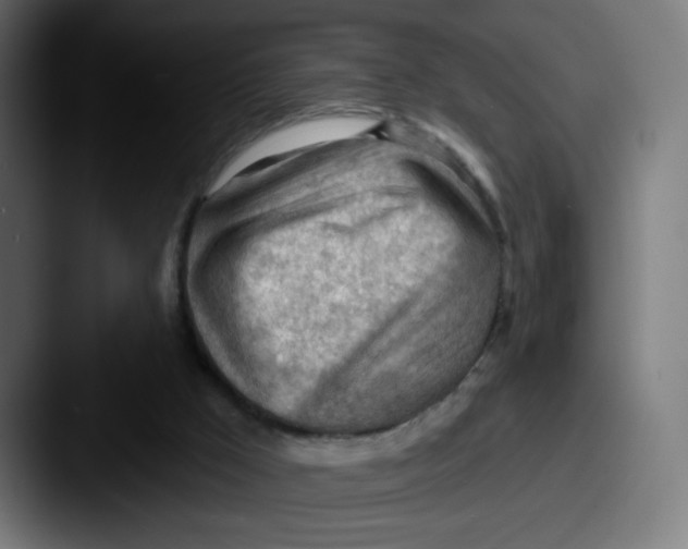 X0000087550009200705181115