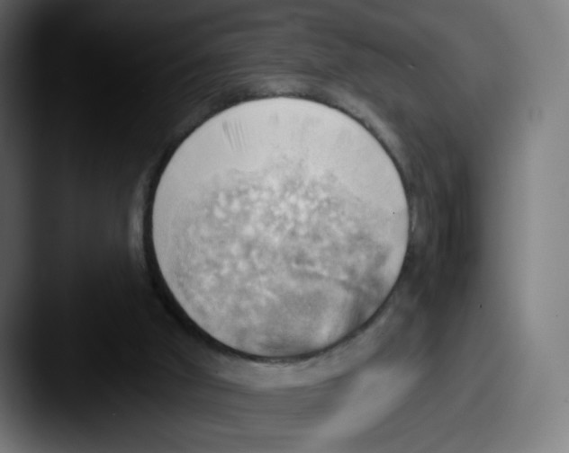 X0000087550010200705181115