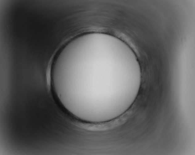 X0000087550011200705181115