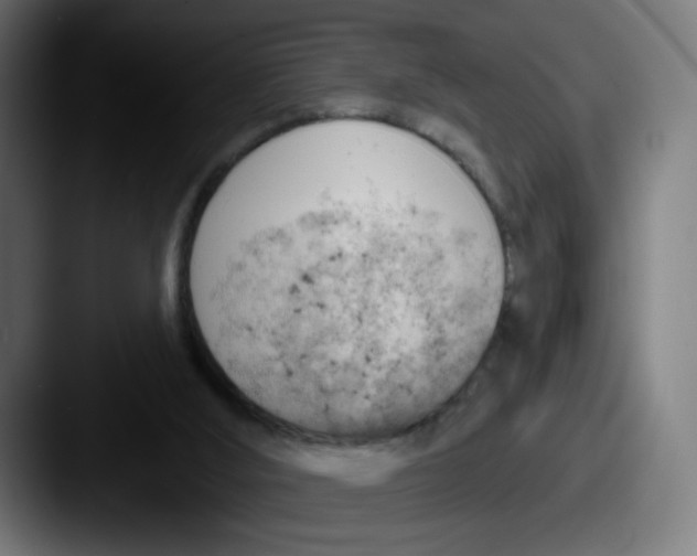 X0000087550012200705181115