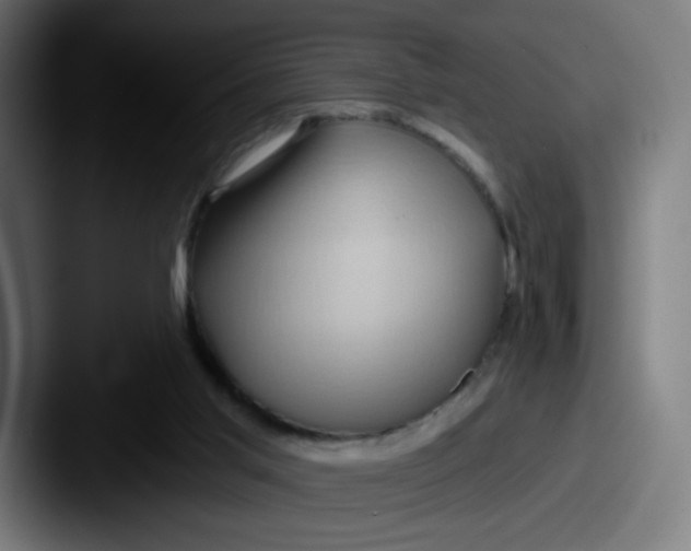 X0000087550013200705181115