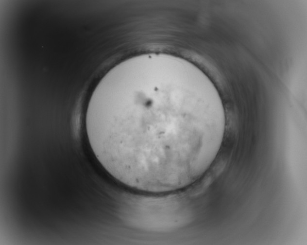 X0000087550016200705181115