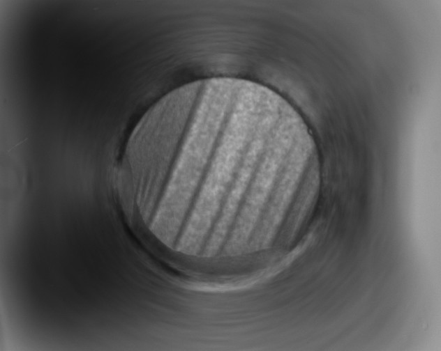 X0000087550017200705181114