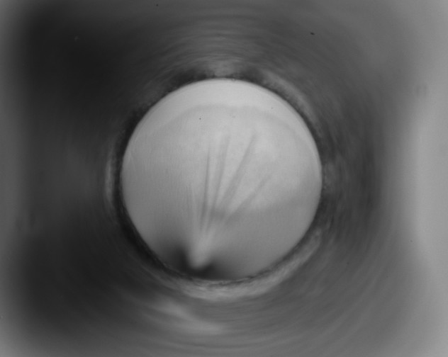 X0000087550018200705181114