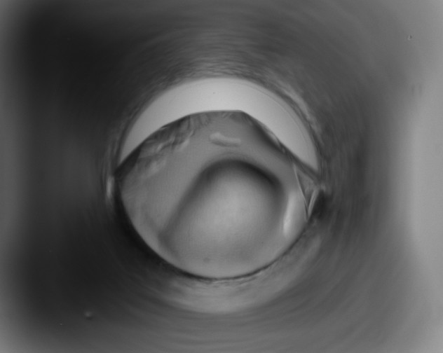 X0000087550019200705181114