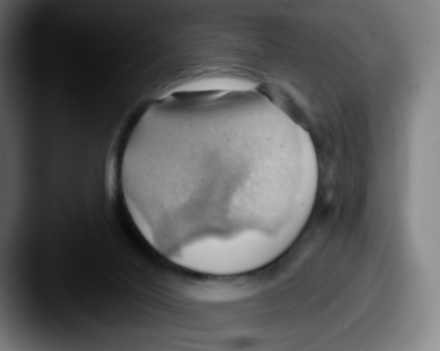 X0000087550020200705181114