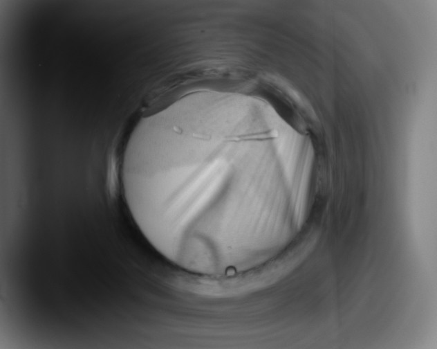 X0000087550022200705181114