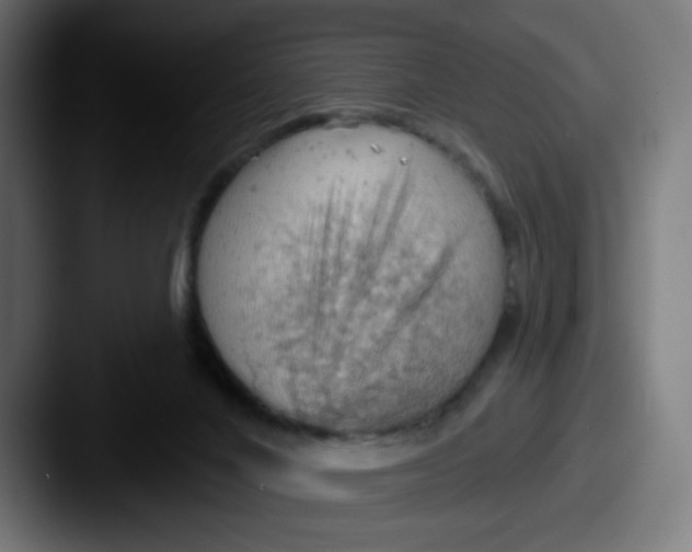 X0000087550024200705181114