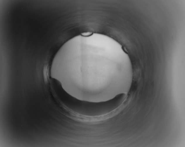 X0000087550027200705181114