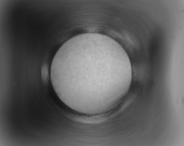 X0000087550028200705181114